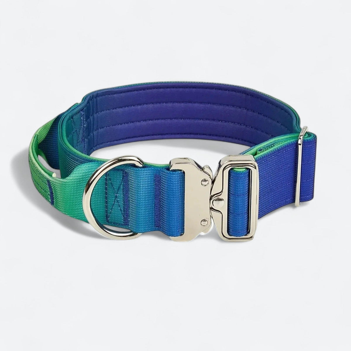 Frenchie-Gradient-Tactical-Collar-Leash-Set.jpg