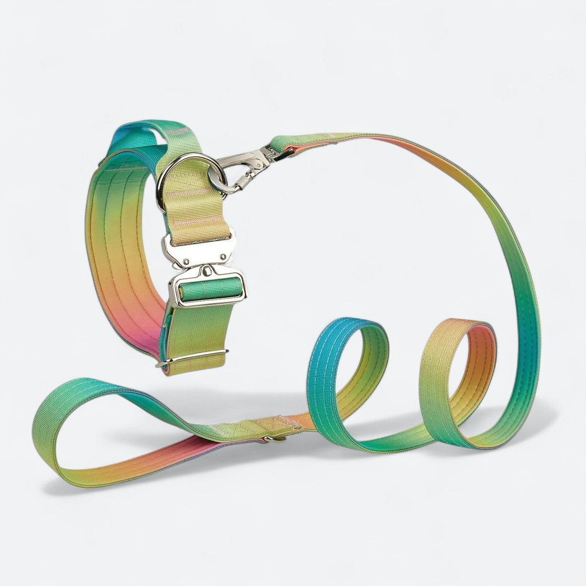 Frenchie-Gradient-Tactical-Collar-Leash-Set.jpg