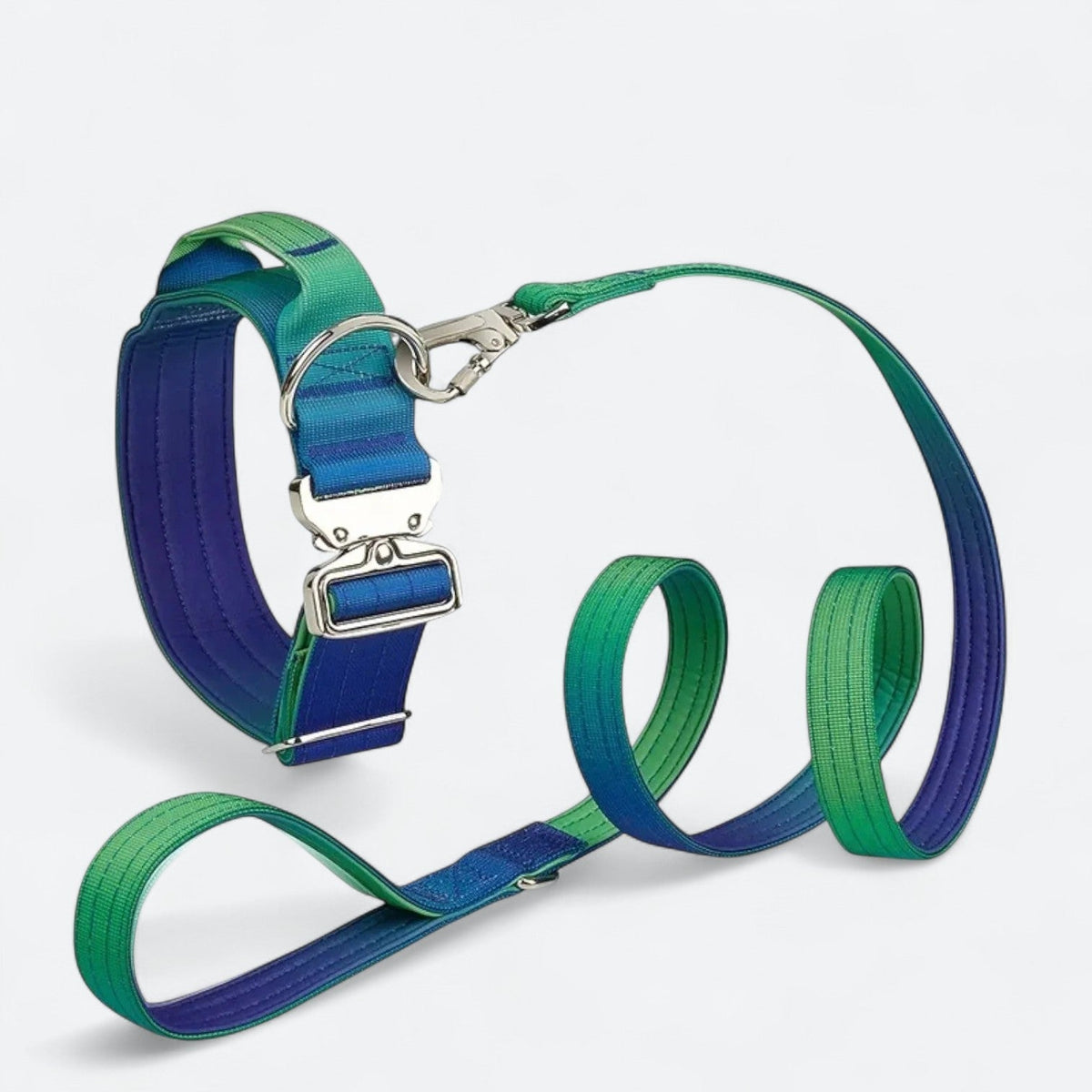Frenchie-Gradient-Tactical-Collar-Leash-Set.jpg