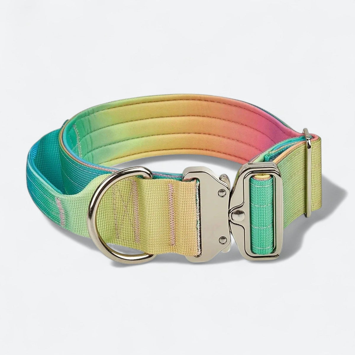Frenchie-Gradient-Tactical-Collar-Leash-Set.jpg