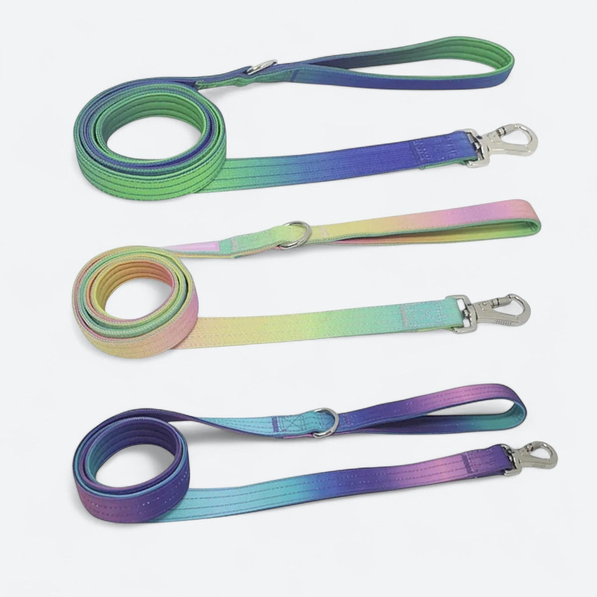 Frenchie-Gradient-Tactical-Collar-Leash-Set.jpg