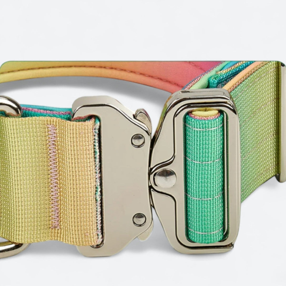 Frenchie-Gradient-Tactical-Collar-Leash-Set.jpg