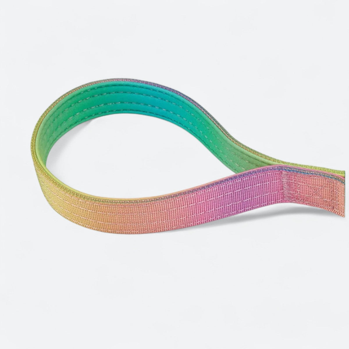 Frenchie-Gradient-Tactical-Collar-Leash-Set.jpg