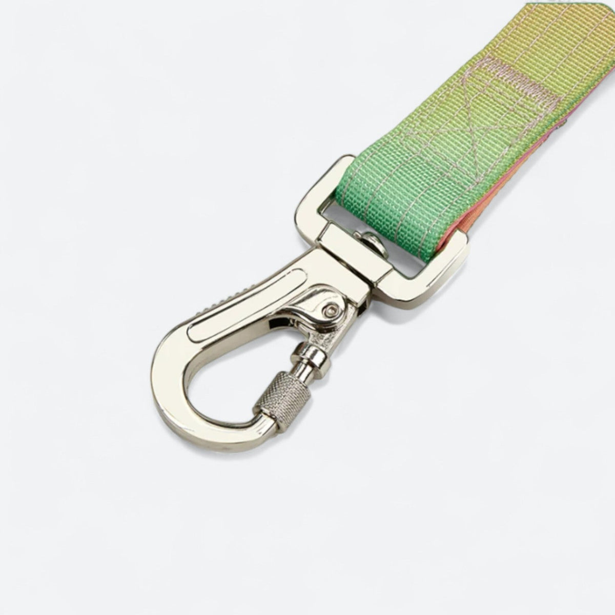 Frenchie-Gradient-Tactical-Collar-Leash-Set.jpg