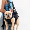 Frenchie-Hands-Free-Carrier-Backpack.jpg