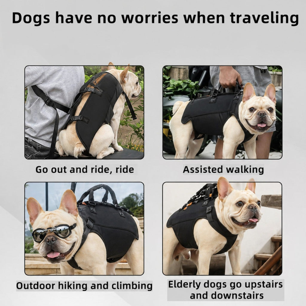 Frenchie-Hands-Free-Carrier-Backpack.jpg