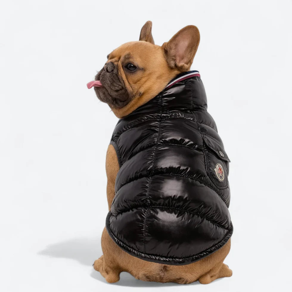 Frenchie-High-Collar-Quilted-Winter-Coat.jpg