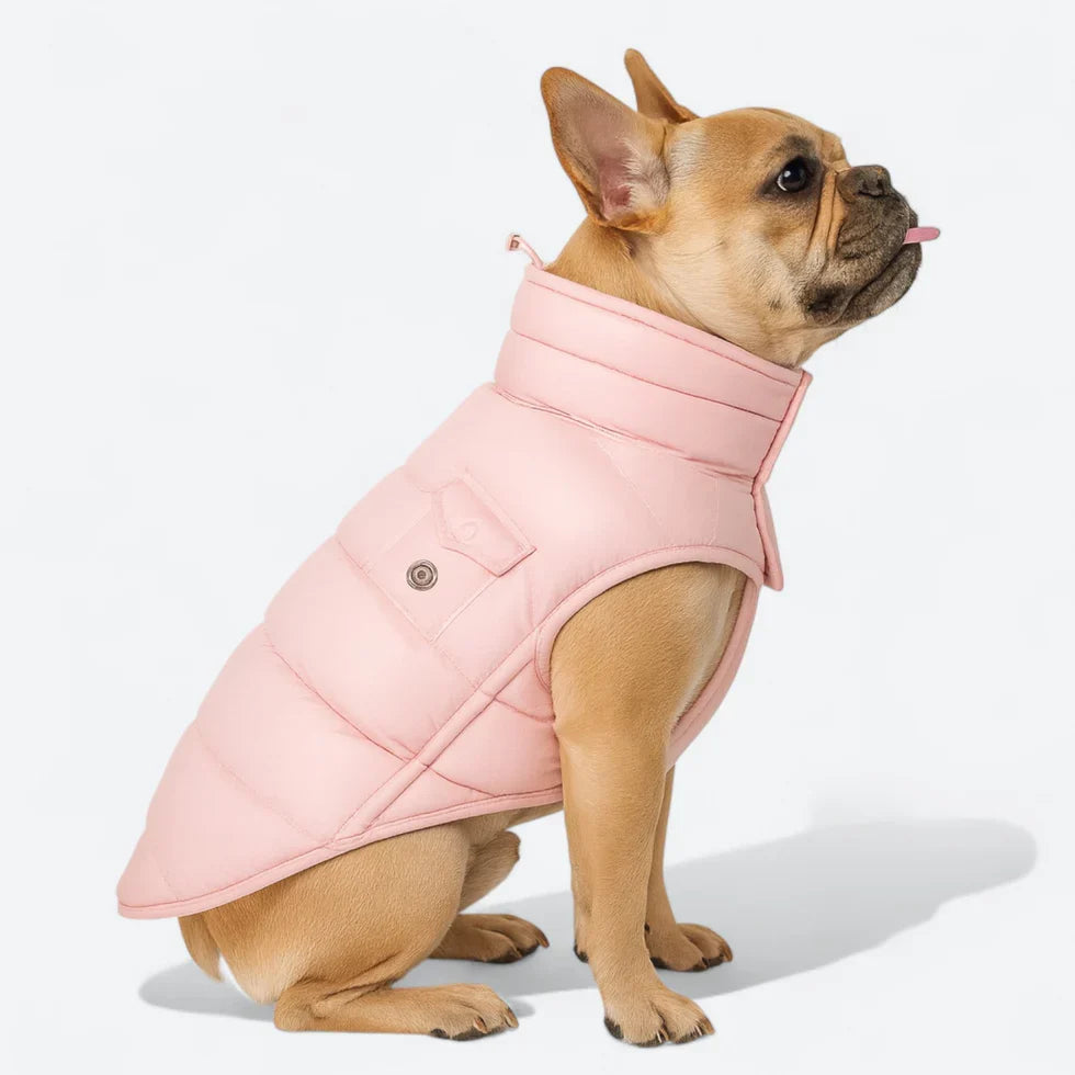 Frenchie-High-Collar-Quilted-Winter-Coat.jpg