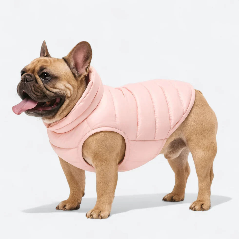Frenchie-High-Collar-Quilted-Winter-Coat.jpg