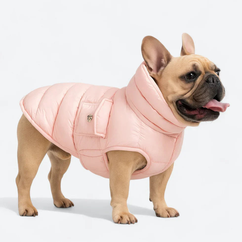 Frenchie-High-Collar-Quilted-Winter-Coat.jpg