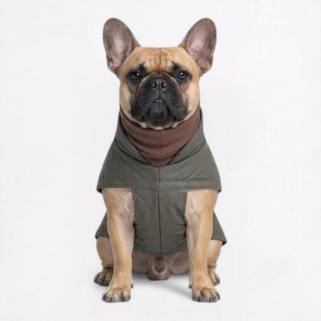 Frenchie-High-Neck-Padded-Winter-Jacket.jpg