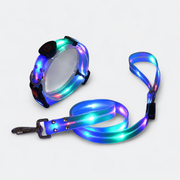 Frenchie-LED-Luminous-Collar-Leash-Set.jpg