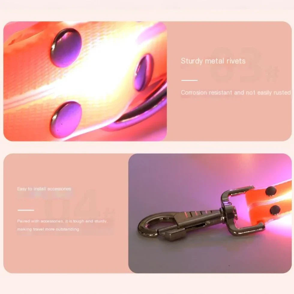 Frenchie-LED-Luminous-Collar-Leash-Set.jpg