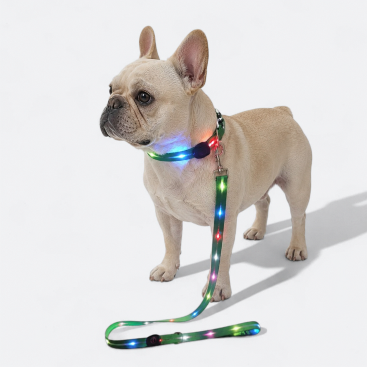 Frenchie-LED-Luminous-Collar-Leash-Set.jpg