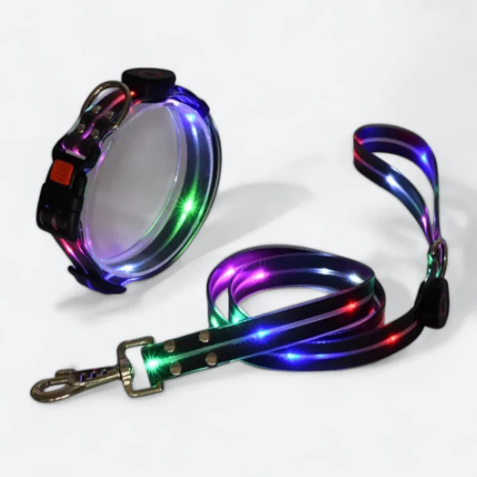 Frenchie-LED-Luminous-Collar-Leash-Set.jpg