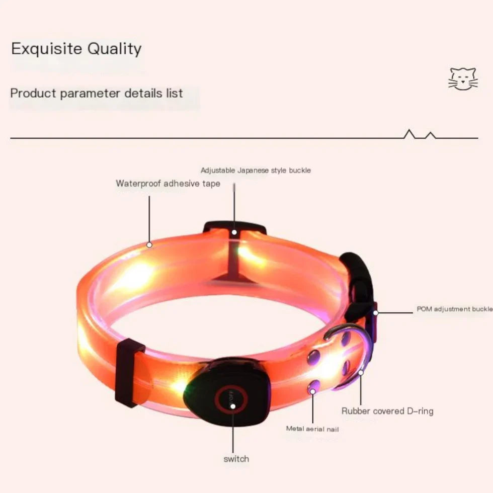 Frenchie-LED-Luminous-Collar-Leash-Set.jpg