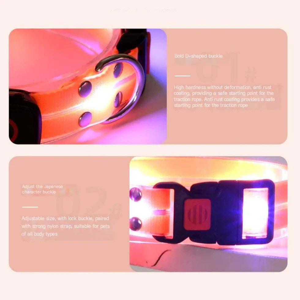 Frenchie-LED-Luminous-Collar-Leash-Set.jpg