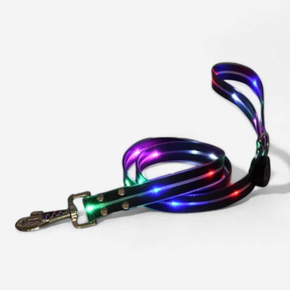 Frenchie-LED-Luminous-Collar-Leash-Set.jpg
