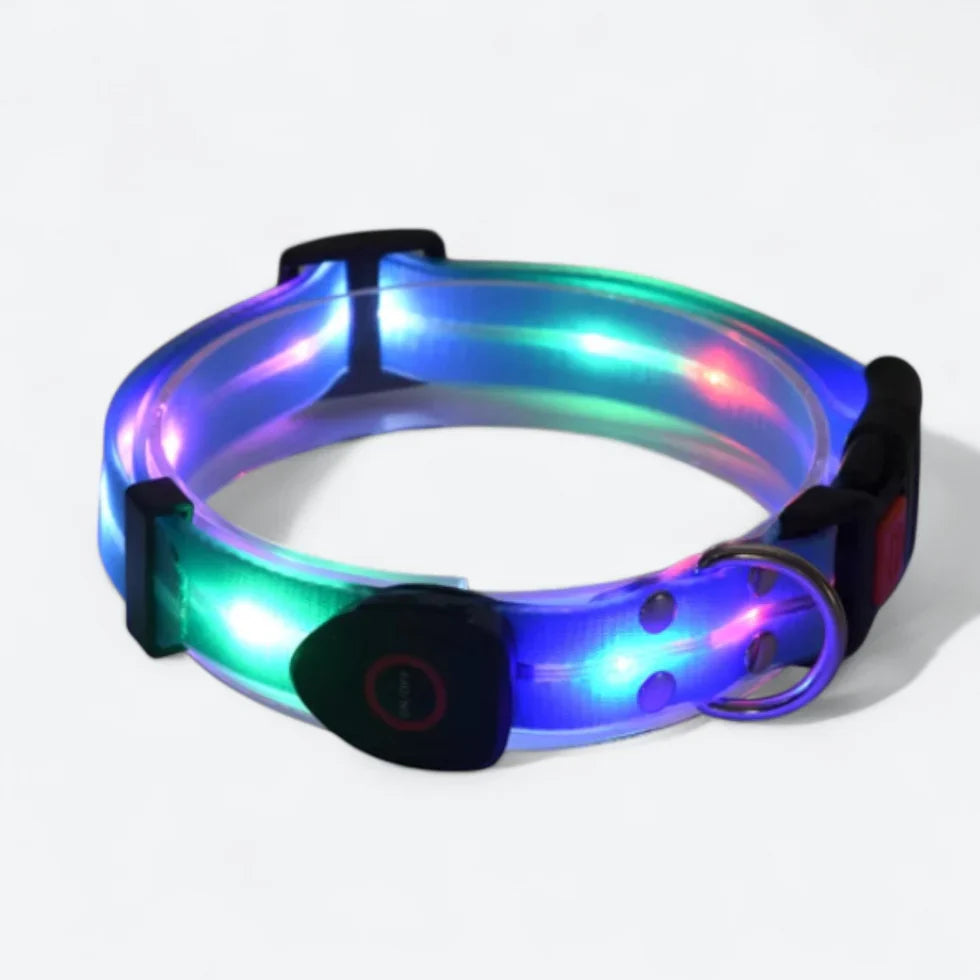 Frenchie-LED-Luminous-Collar-Leash-Set.jpg