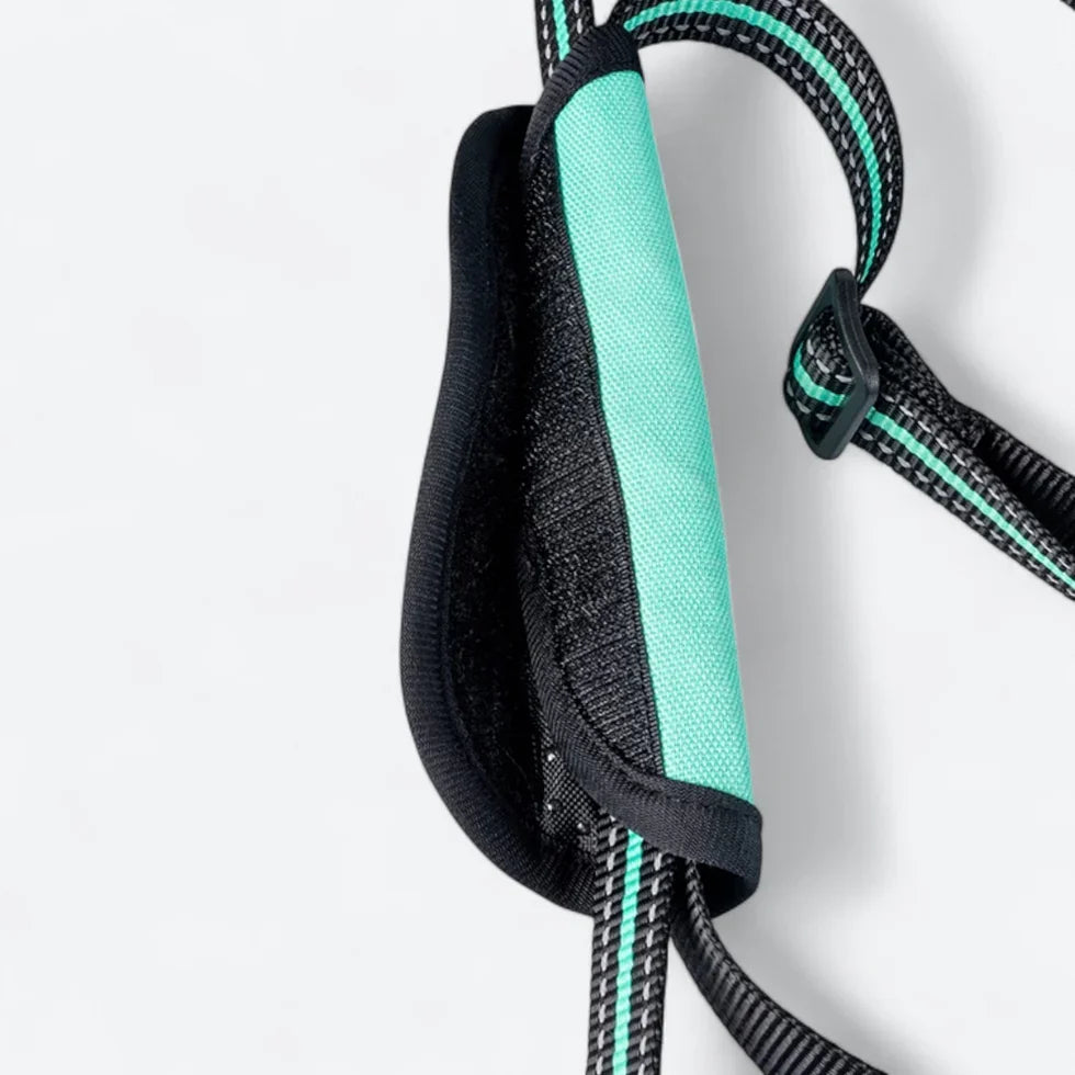 Frenchie-Mobility-Aid-Lift-Harness.jpg
