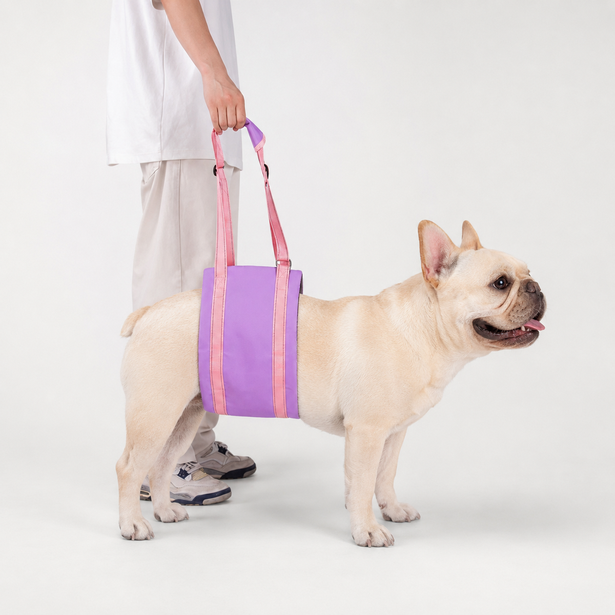 Frenchie-Mobility-Aid-Lift-Harness.jpg