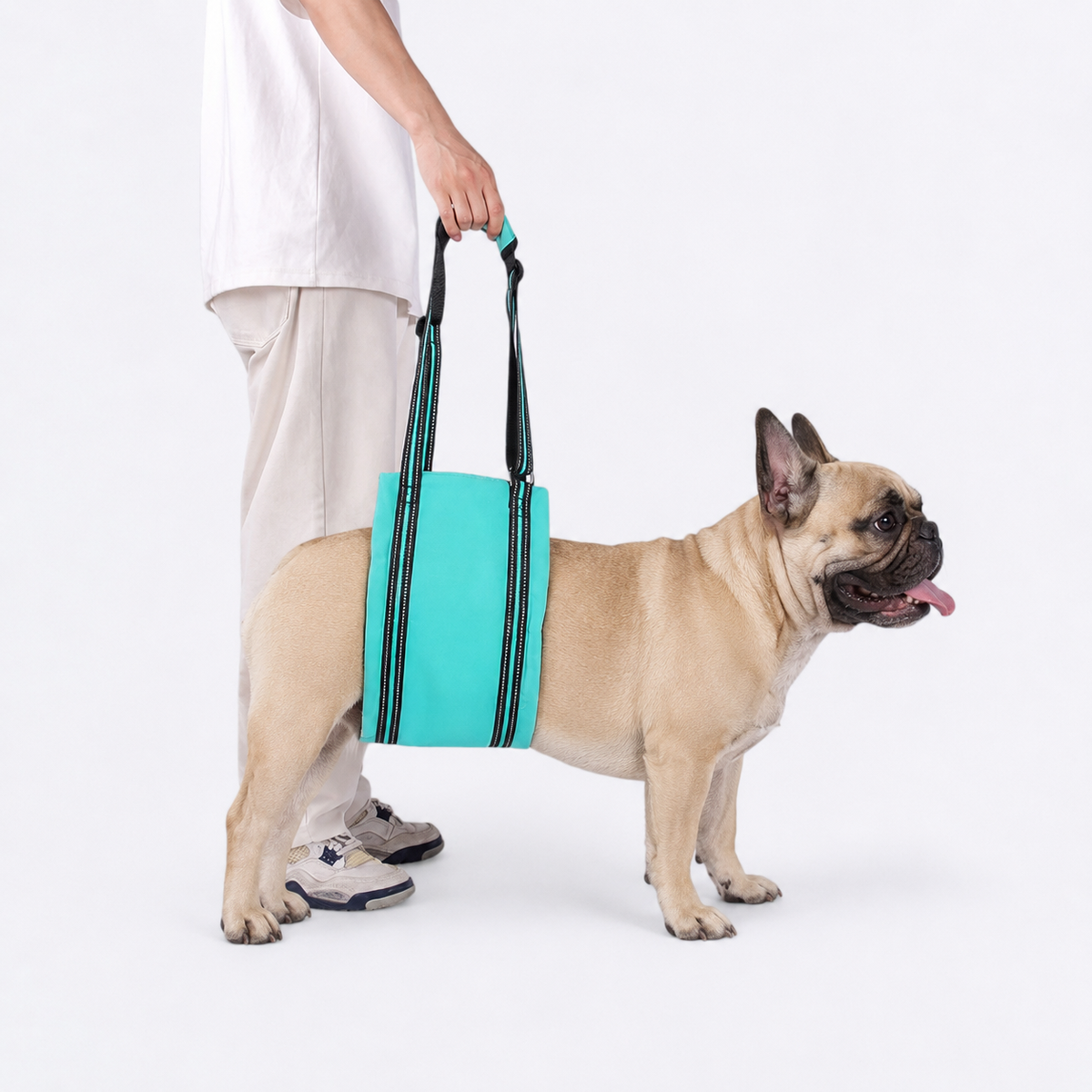 Frenchie-Mobility-Aid-Lift-Harness.jpg