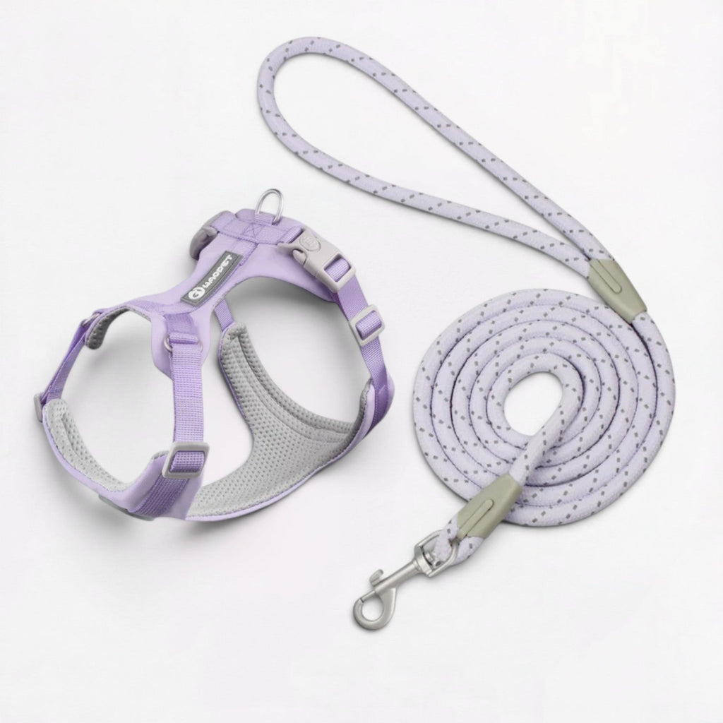 Frenchie-No-Pull-Harness-Leash-Set.jpg