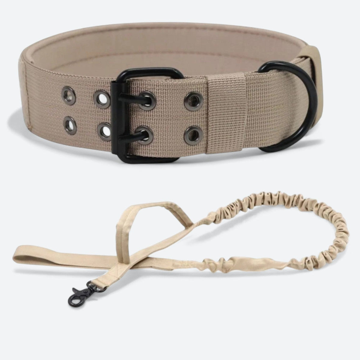 Frenchie-Outdoor-Tactical-Collar-Leash-Set.jpg