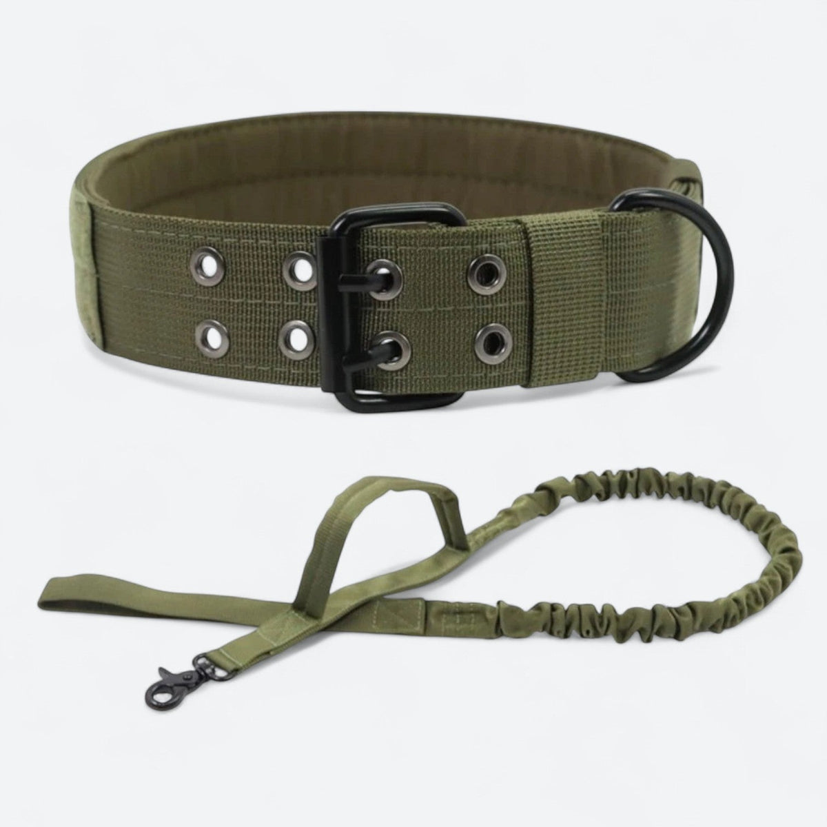 Frenchie-Outdoor-Tactical-Collar-Leash-Set.jpg