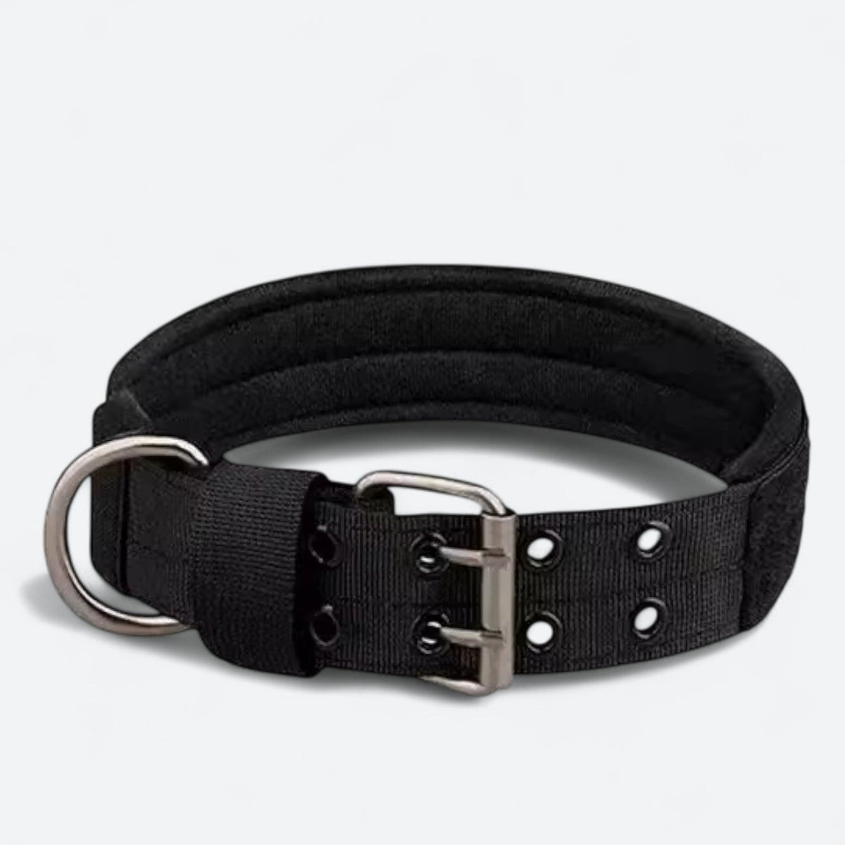 Frenchie-Outdoor-Tactical-Collar-Leash-Set.jpg