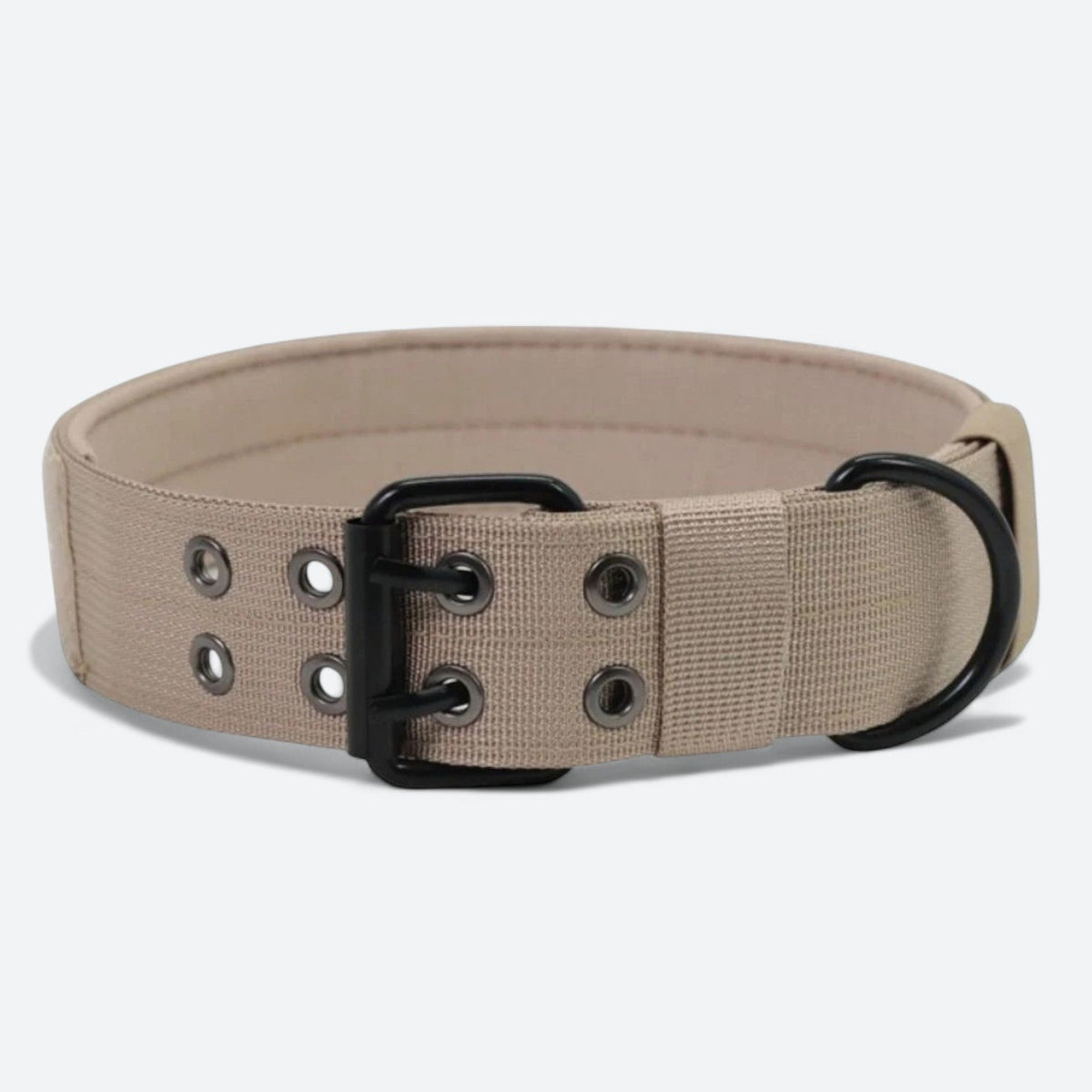 Frenchie-Outdoor-Tactical-Collar-Leash-Set.jpg