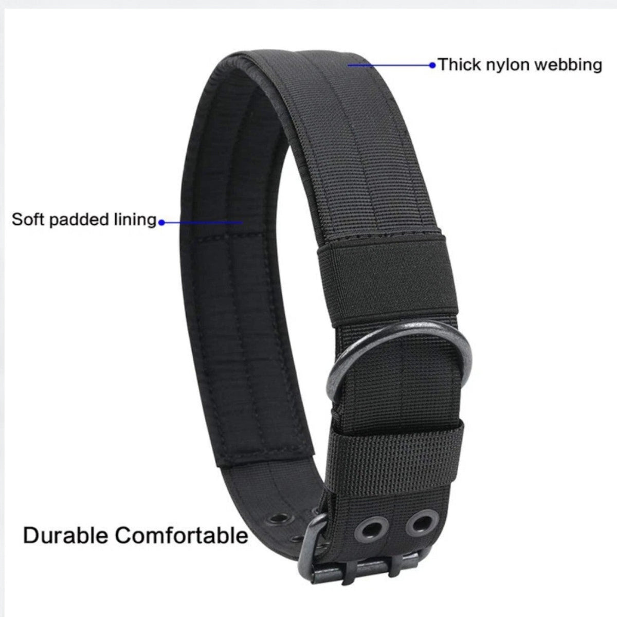 Frenchie-Outdoor-Tactical-Collar-Leash-Set.jpg