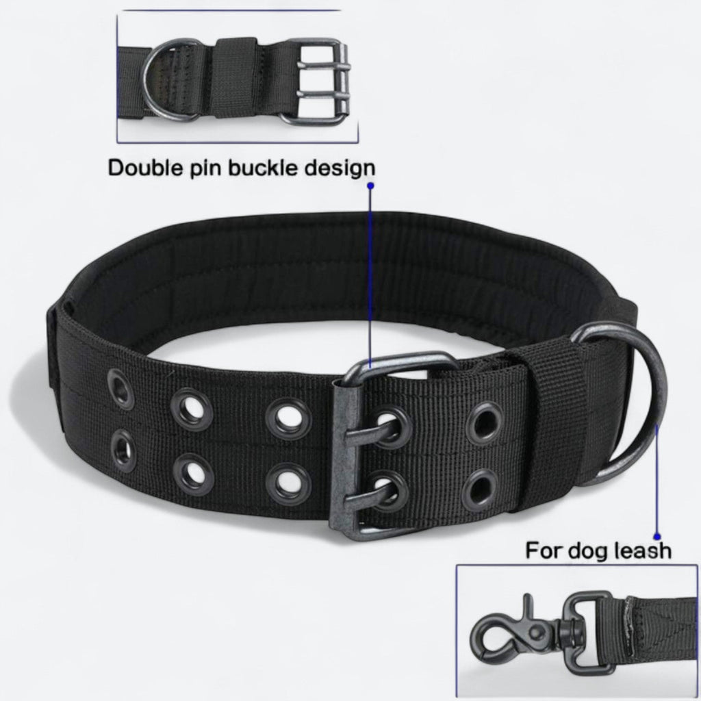 Frenchie-Outdoor-Tactical-Collar-Leash-Set.jpg