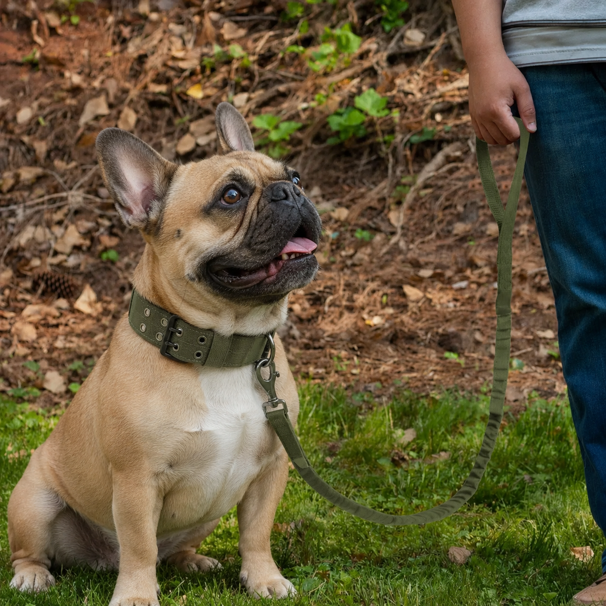 Frenchie-Outdoor-Tactical-Collar-Leash-Set.jpg