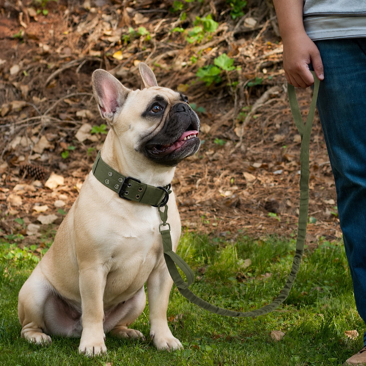 Frenchie-Outdoor-Tactical-Collar-Leash-Set.jpg