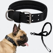 Frenchie-Outdoor-Tactical-Collar-Leash-Set.jpg