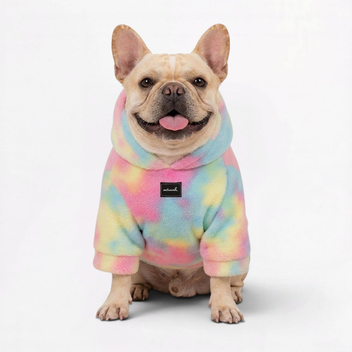 Frenchie-Owner-Cozy-Rainbow Tie-Dye-Matching-Hoodie.jpg