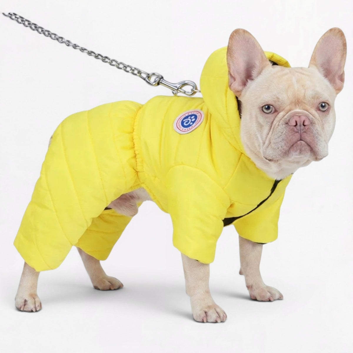 Frenchie-Premium-Waterproof-Winter-Coat.jpg