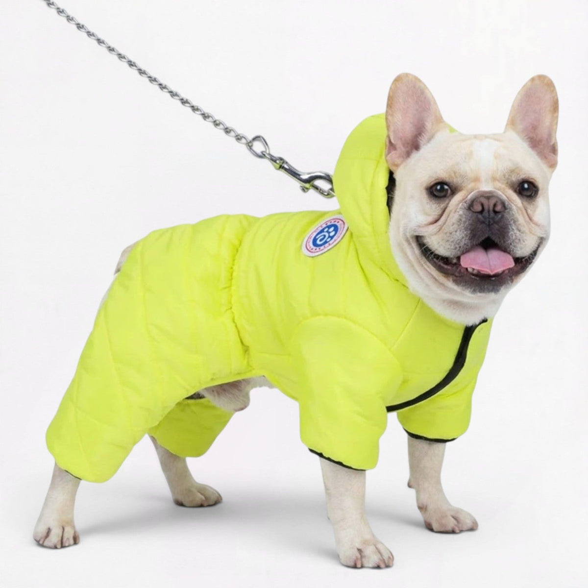 Frenchie-Premium-Waterproof-Winter-Coat.jpg