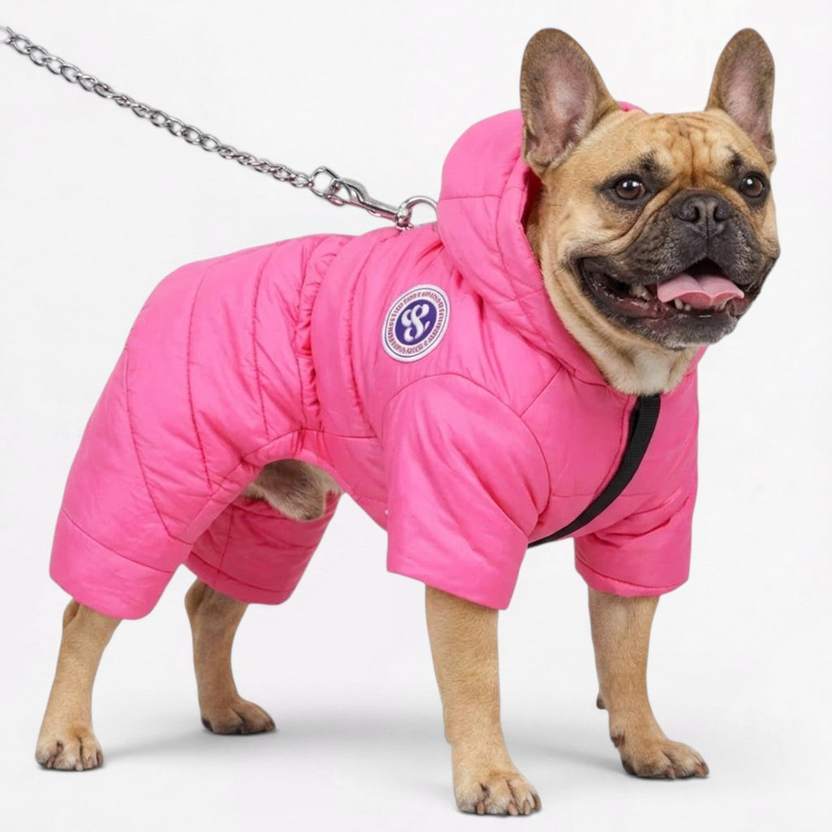 Frenchie-Premium-Waterproof-Winter-Coat.jpg