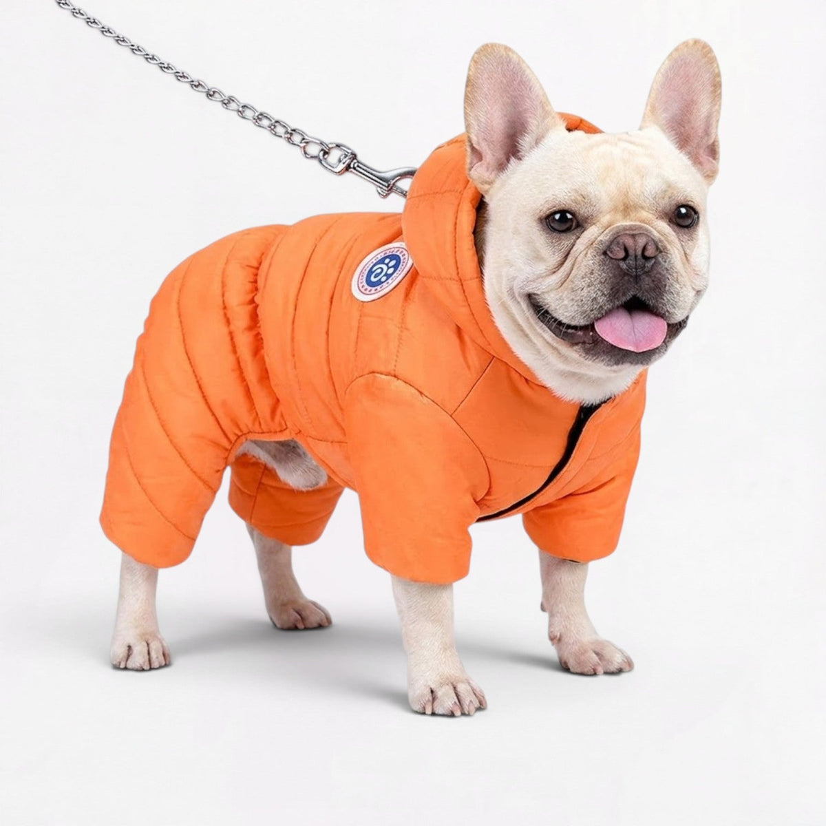 Frenchie-Premium-Waterproof-Winter-Coat.jpg