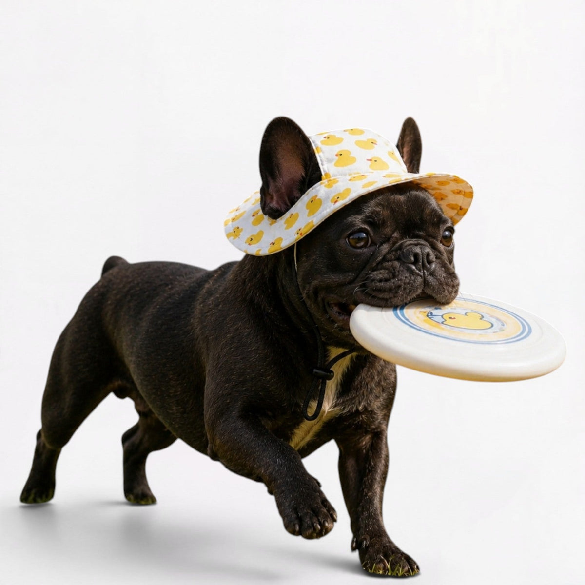 Frenchie-Printed-Adjustable-Sun-Hat.jpg