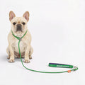 Frenchie-Professional-P-Rope-Leash.jpg