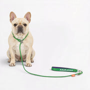 Frenchie-Professional-P-Rope-Leash.jpg