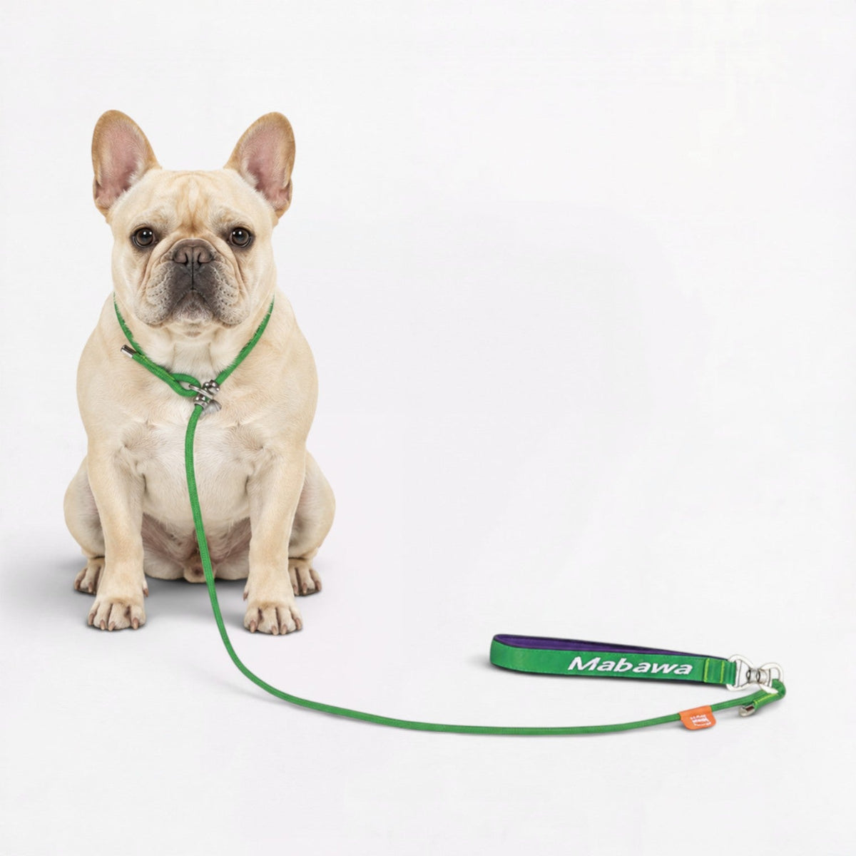Frenchie-Professional-P-Rope-Leash.jpg