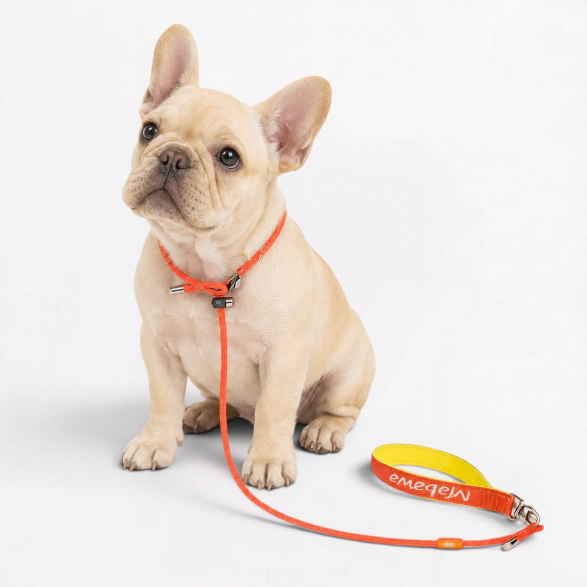 Frenchie-Professional-P-Rope-Leash.jpg