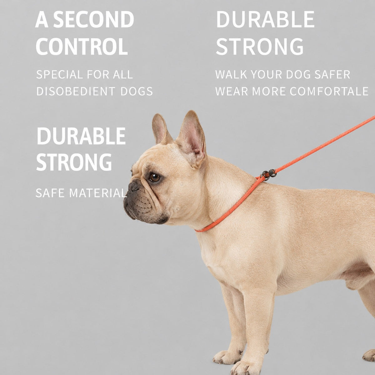 Frenchie-Professional-P-Rope-Leash.jpg