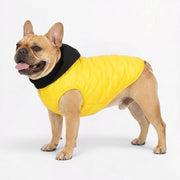 Frenchie-Quilted-Warm-Hooded-Vest.jpg