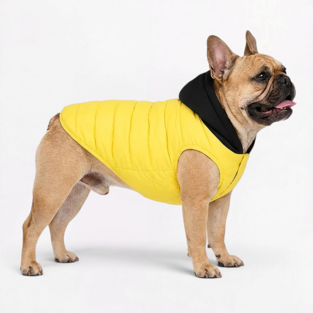Frenchie-Quilted-Warm-Hooded-Vest.jpg