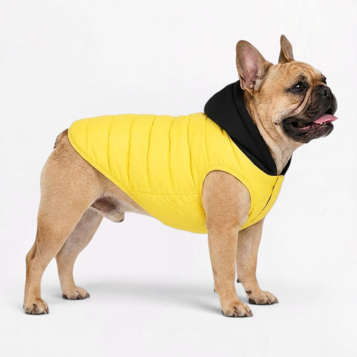 Frenchie-Quilted-Warm-Hooded-Vest.jpg